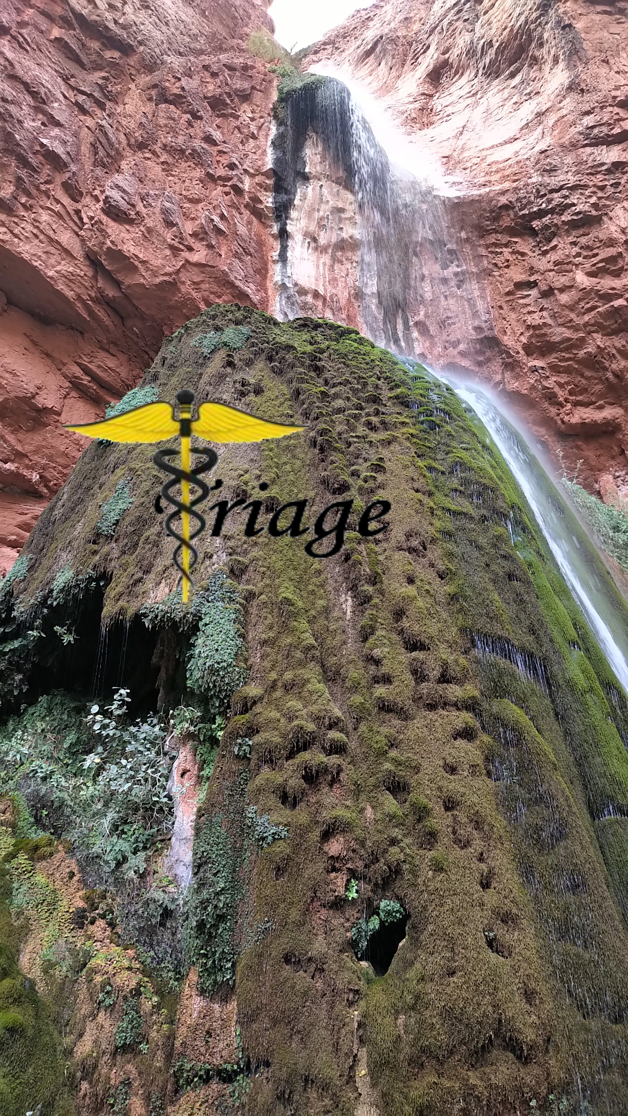 A moss-covered outcrop below red canyon walls at Ribbon Falls